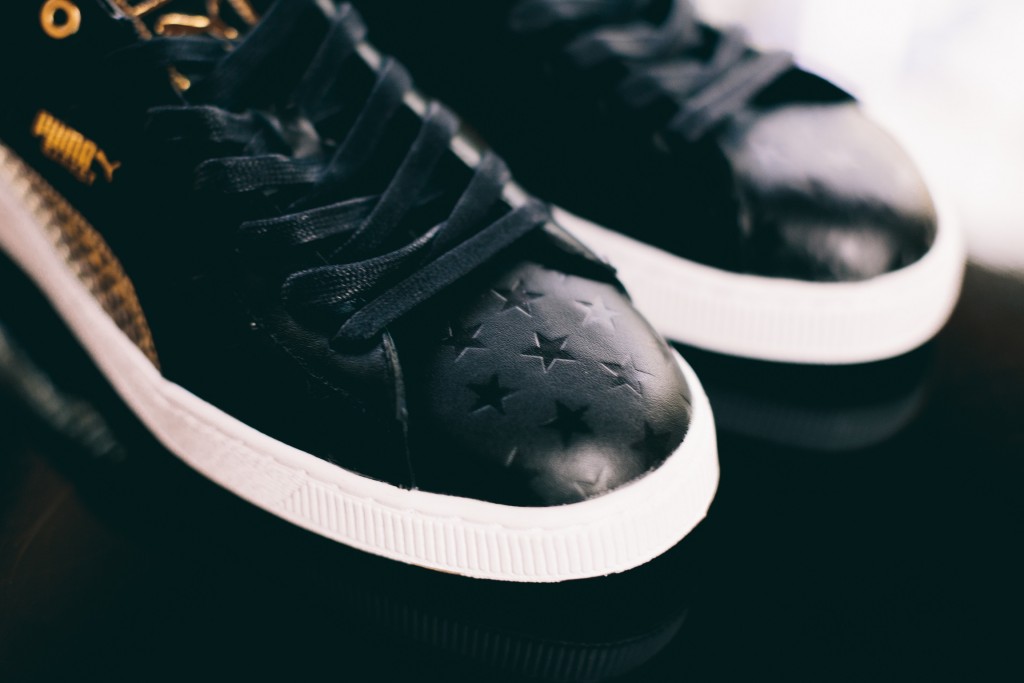 pumavilla-4 (1)