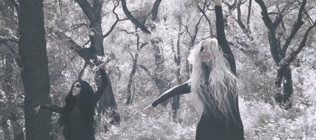 Dumblonde Carry On