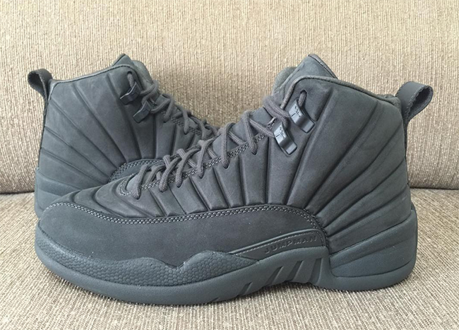 air-jordan-12-public-school-details