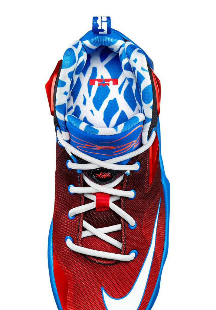 nike-lebron-13-gs-mini-hoop-4