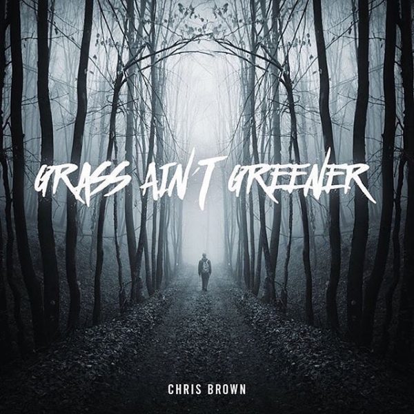 Chris Brown Grass Ain't Grenner