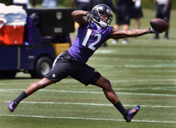 Mike Wallace OTA